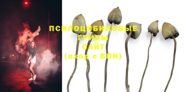 прущая мука Армянск