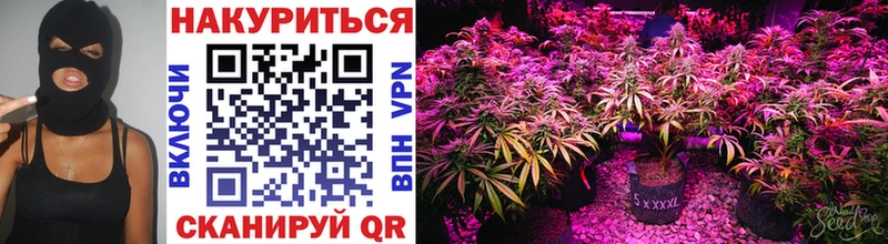 Шишки марихуана Bruce Banner  Рошаль 